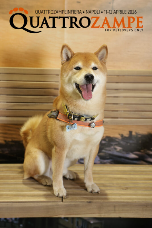 Concorso Fotografico - QuattroZampe in Fiera - Napoli - Aprile 2026