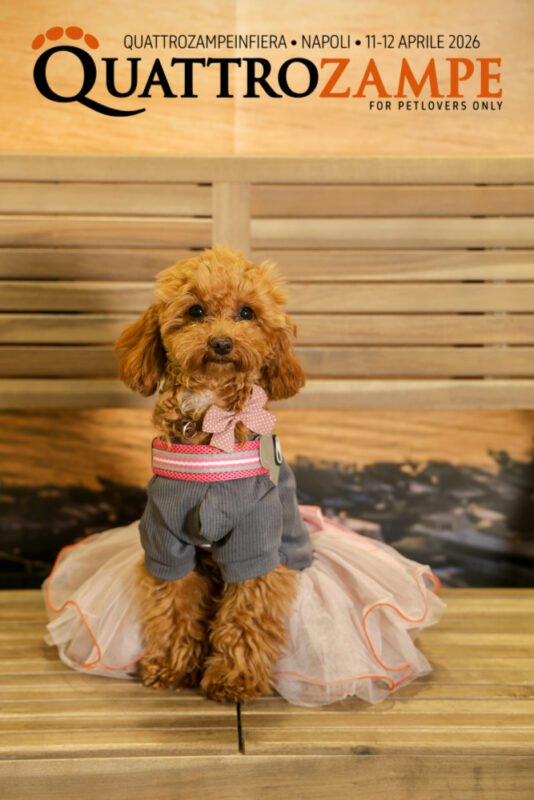 Concorso Fotografico - QuattroZampe in Fiera - Napoli - Aprile 2026