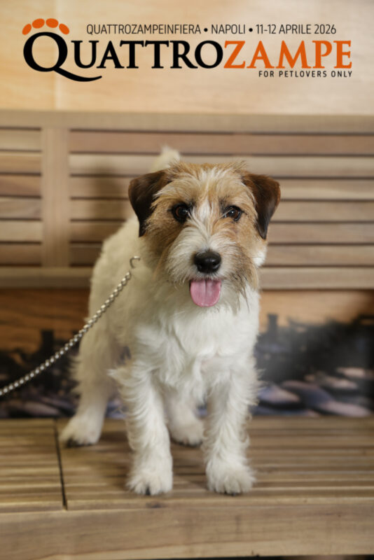 Concorso Fotografico - QuattroZampe in Fiera - Napoli - Aprile 2026