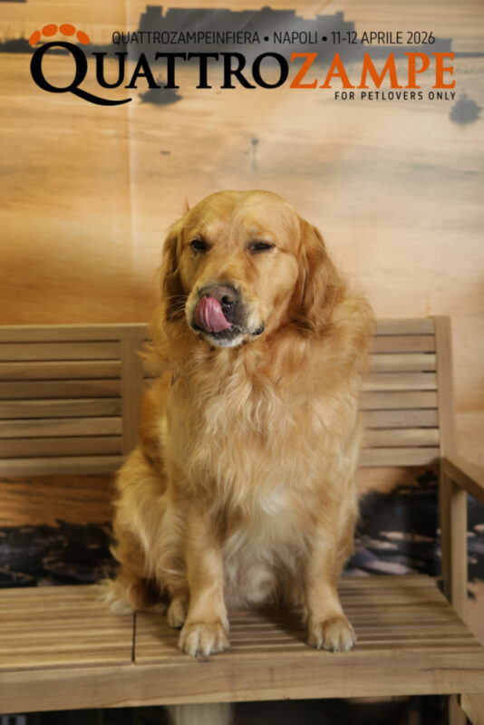 Concorso Fotografico - QuattroZampe in Fiera - Napoli - Aprile 2026