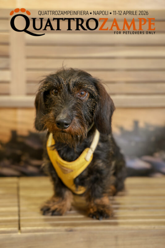 Concorso Fotografico - QuattroZampe in Fiera - Napoli - Aprile 2026