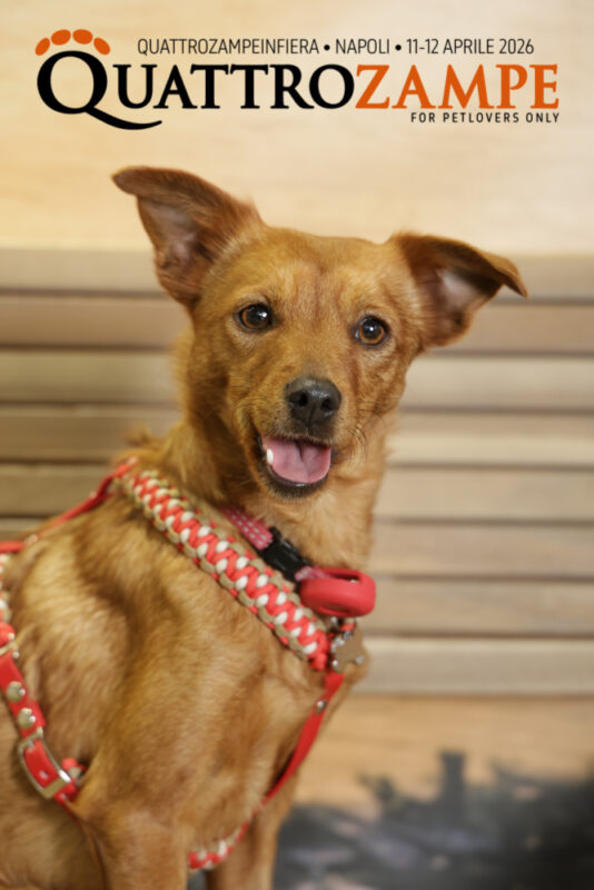 Concorso Fotografico - QuattroZampe in Fiera - Napoli - Aprile 2026