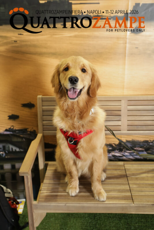 Concorso Fotografico - QuattroZampe in Fiera - Napoli - Aprile 2026