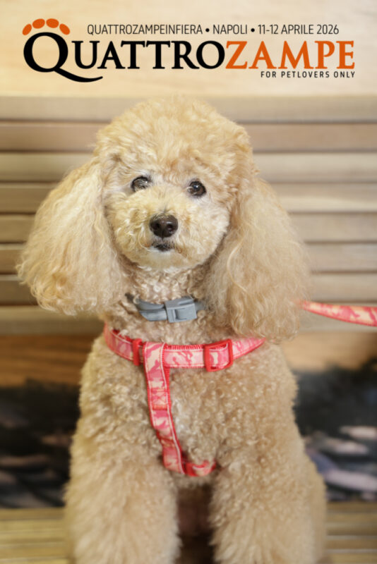 Concorso Fotografico - QuattroZampe in Fiera - Napoli - Aprile 2026
