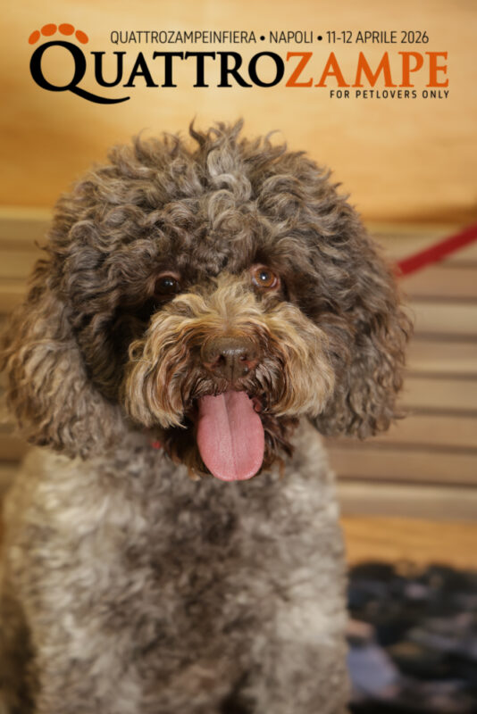 Concorso Fotografico - QuattroZampe in Fiera - Napoli - Aprile 2026