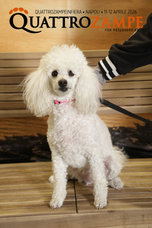 Concorso Fotografico - QuattroZampe in Fiera - Napoli - Aprile 2026