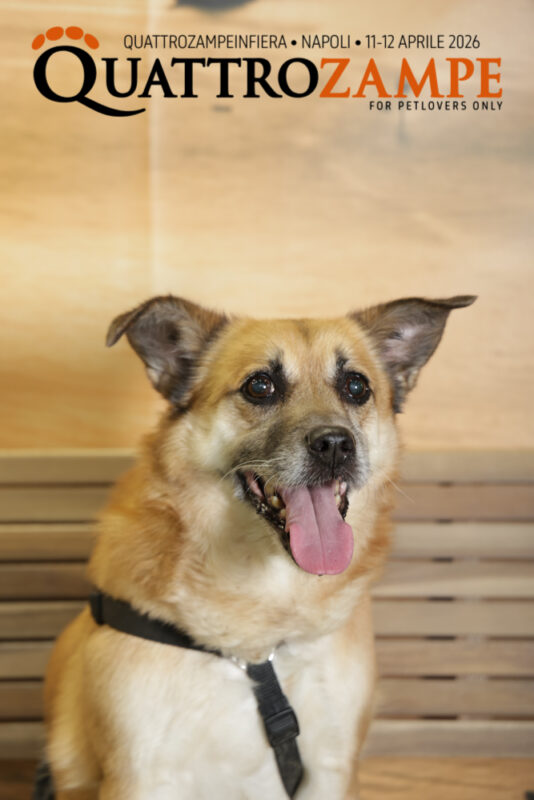 Concorso Fotografico - QuattroZampe in Fiera - Napoli - Aprile 2026