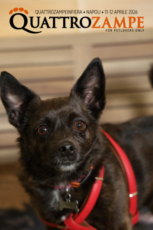 Concorso Fotografico - QuattroZampe in Fiera - Napoli - Aprile 2026