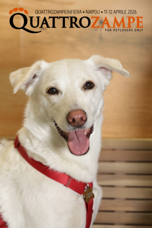 Concorso Fotografico - QuattroZampe in Fiera - Napoli - Aprile 2026