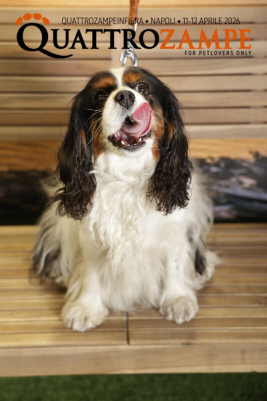Concorso Fotografico - QuattroZampe in Fiera - Napoli - Aprile 2026