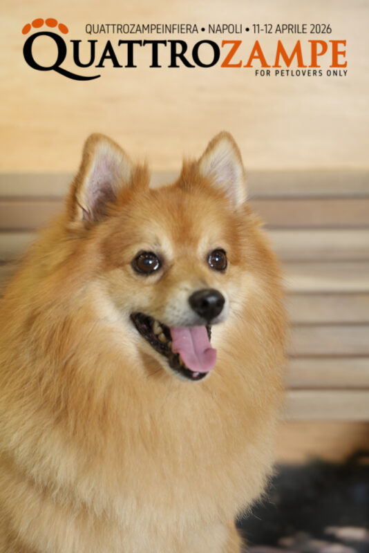 Concorso Fotografico - QuattroZampe in Fiera - Napoli - Aprile 2026
