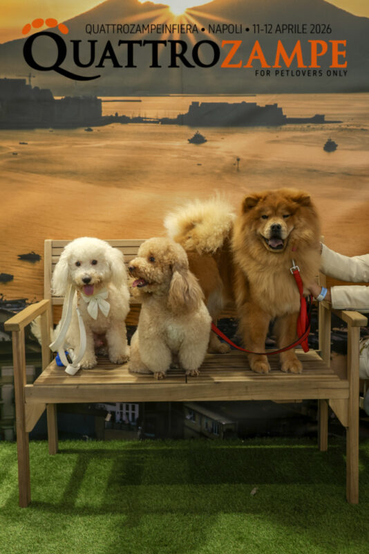 Concorso Fotografico - QuattroZampe in Fiera - Napoli - Aprile 2026