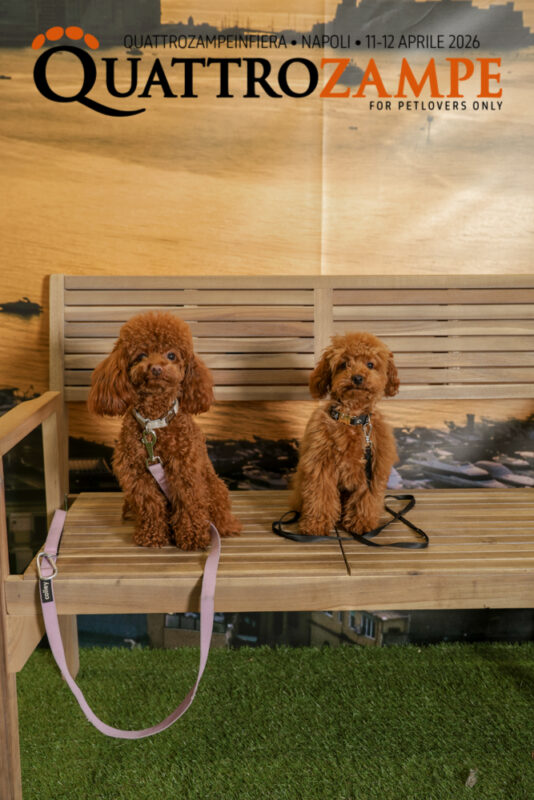 Concorso Fotografico - QuattroZampe in Fiera - Napoli - Aprile 2026