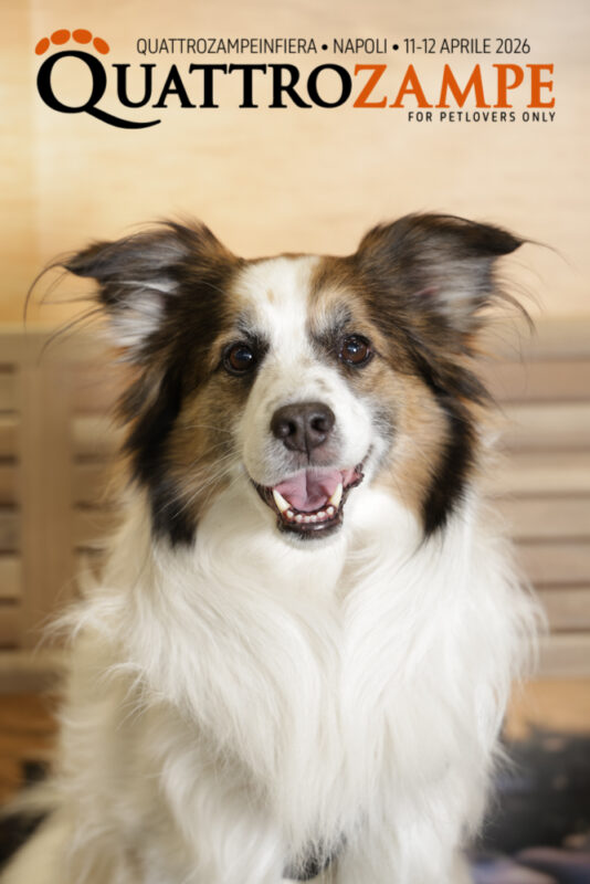 Concorso Fotografico - QuattroZampe in Fiera - Napoli - Aprile 2026