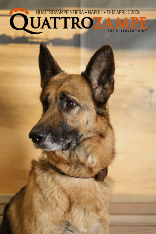 Concorso Fotografico - QuattroZampe in Fiera - Napoli - Aprile 2026