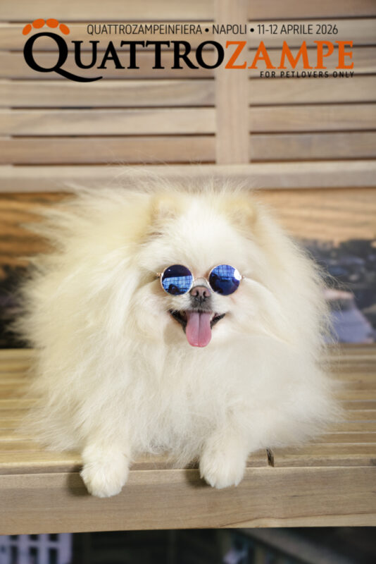 Concorso Fotografico - QuattroZampe in Fiera - Napoli - Aprile 2026