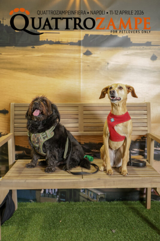 Concorso Fotografico - QuattroZampe in Fiera - Napoli - Aprile 2026