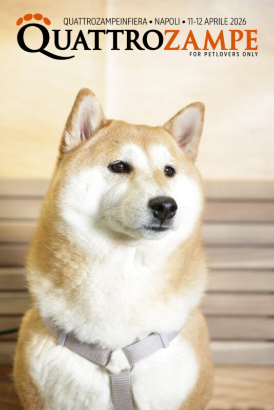 Concorso Fotografico - QuattroZampe in Fiera - Napoli - Aprile 2026