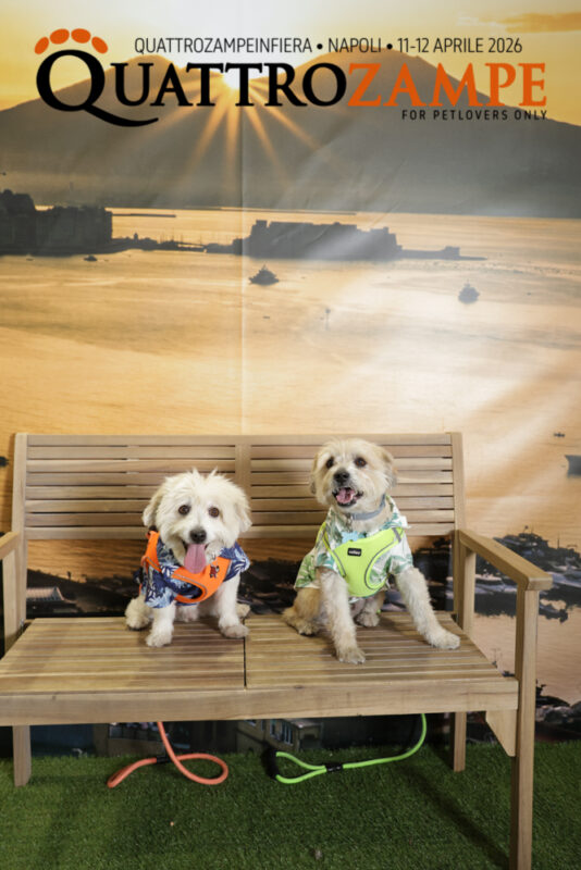 Concorso Fotografico - QuattroZampe in Fiera - Napoli - Aprile 2026