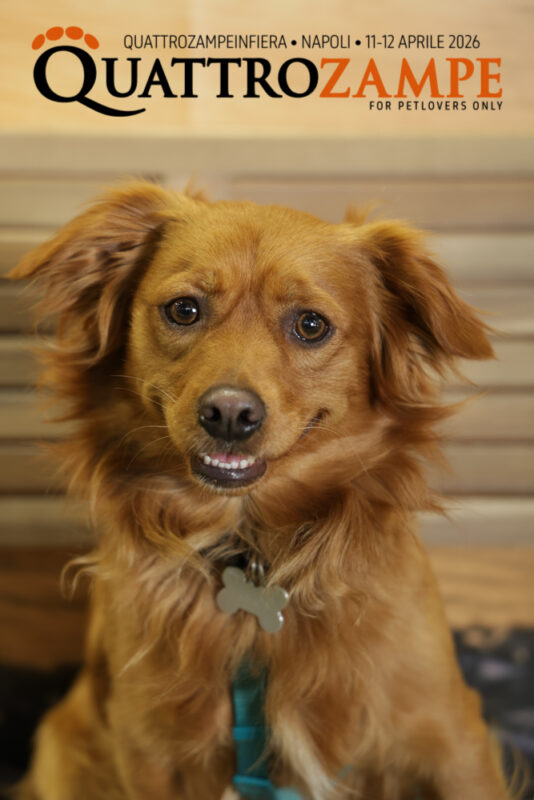 Concorso Fotografico - QuattroZampe in Fiera - Napoli - Aprile 2026