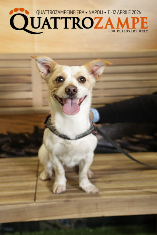 Concorso Fotografico - QuattroZampe in Fiera - Napoli - Aprile 2026