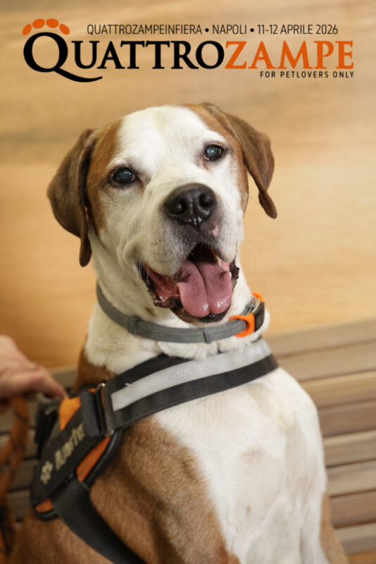 Concorso Fotografico - QuattroZampe in Fiera - Napoli - Aprile 2026