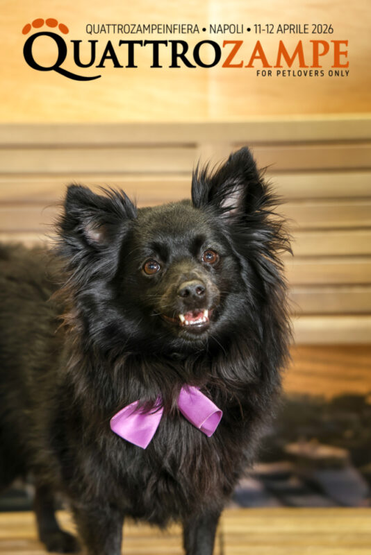 Concorso Fotografico - QuattroZampe in Fiera - Napoli - Aprile 2026