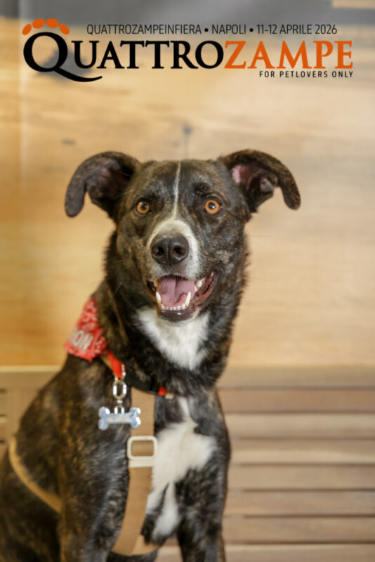 Concorso Fotografico - QuattroZampe in Fiera - Napoli - Aprile 2026