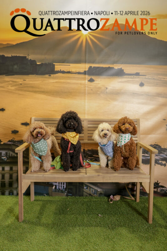 Concorso Fotografico - QuattroZampe in Fiera - Napoli - Aprile 2026