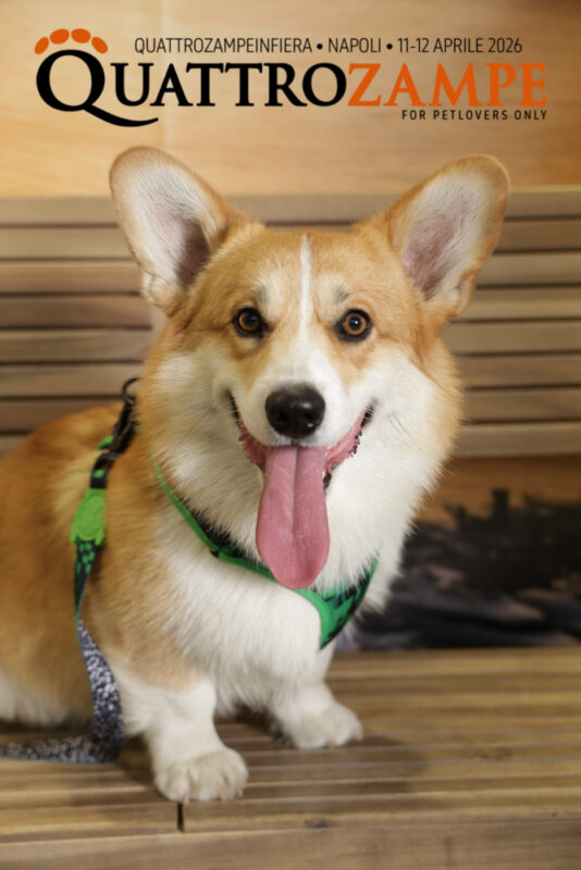 Concorso Fotografico - QuattroZampe in Fiera - Napoli - Aprile 2026