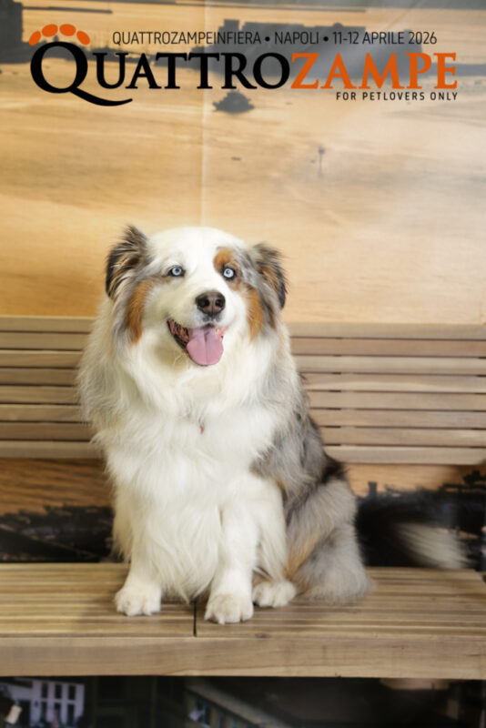 Concorso Fotografico - QuattroZampe in Fiera - Napoli - Aprile 2026