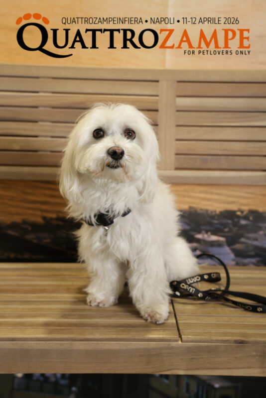 Concorso Fotografico - QuattroZampe in Fiera - Napoli - Aprile 2026