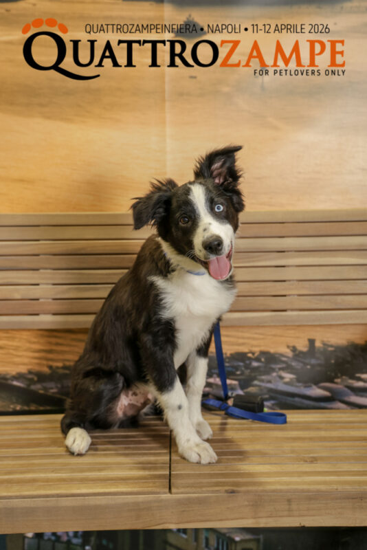 Concorso Fotografico - QuattroZampe in Fiera - Napoli - Aprile 2026