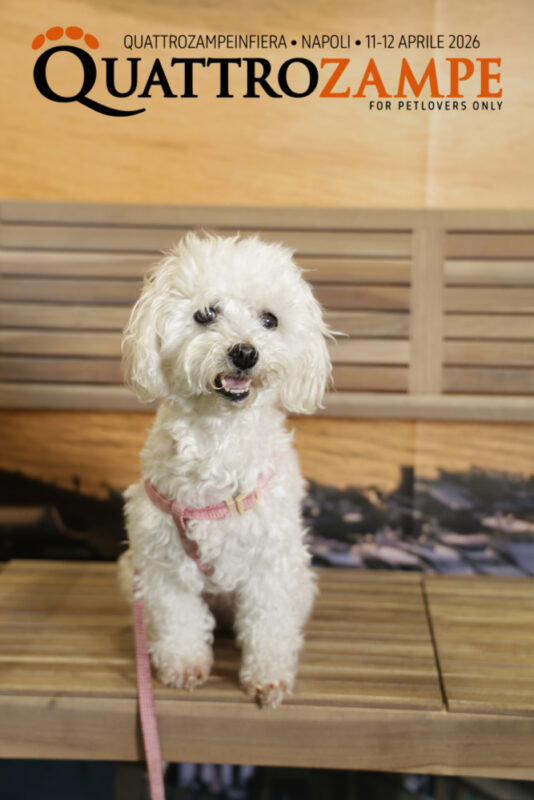 Concorso Fotografico - QuattroZampe in Fiera - Napoli - Aprile 2026
