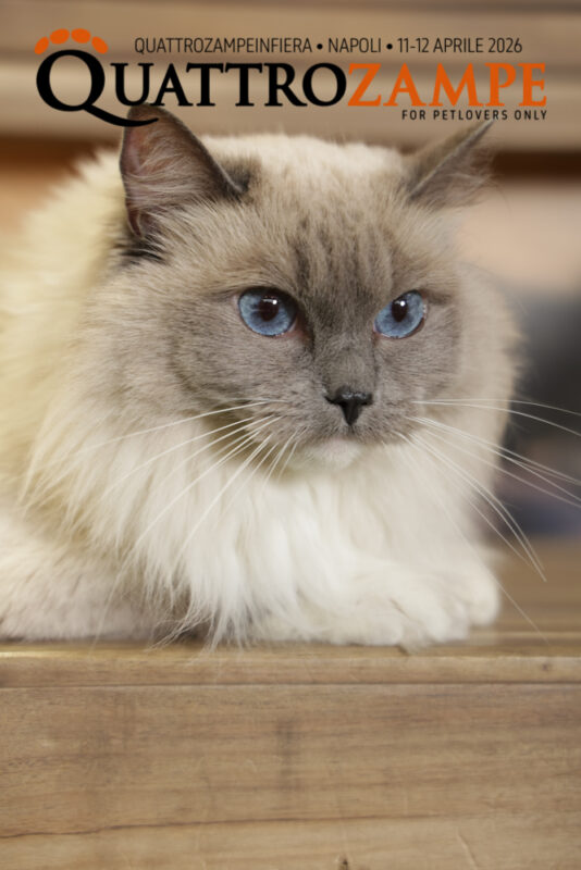 Concorso Fotografico - QuattroZampe in Fiera - Napoli - Aprile 2026