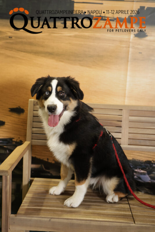 Concorso Fotografico - QuattroZampe in Fiera - Napoli - Aprile 2026