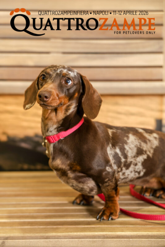 Concorso Fotografico - QuattroZampe in Fiera - Napoli - Aprile 2026