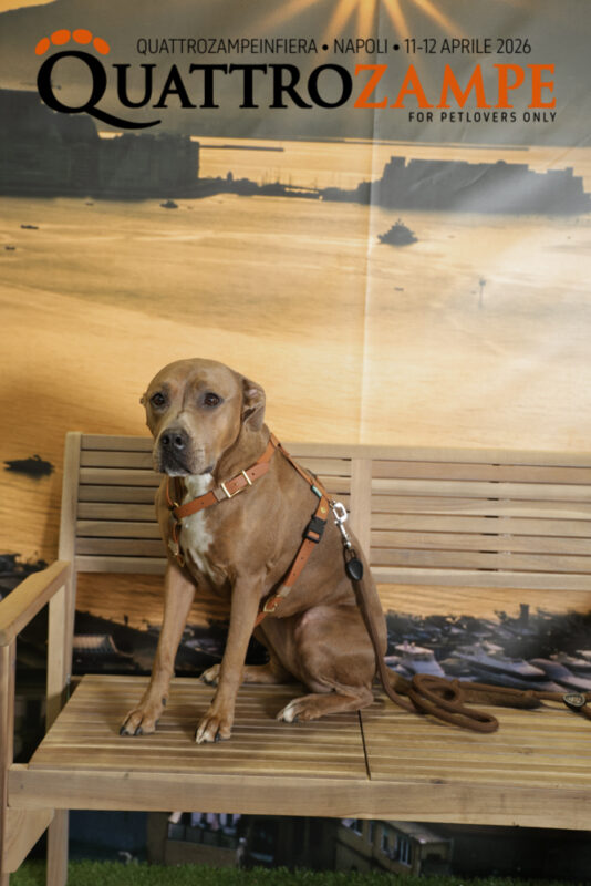 Concorso Fotografico - QuattroZampe in Fiera - Napoli - Aprile 2026