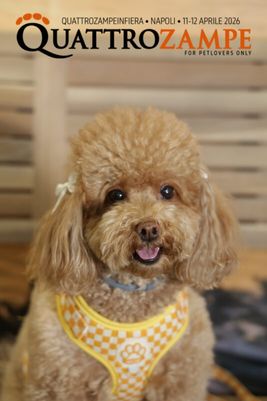 Concorso Fotografico - QuattroZampe in Fiera - Napoli - Aprile 2026