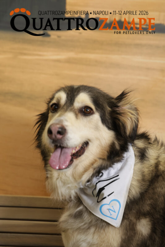 Concorso Fotografico - QuattroZampe in Fiera - Napoli - Aprile 2026