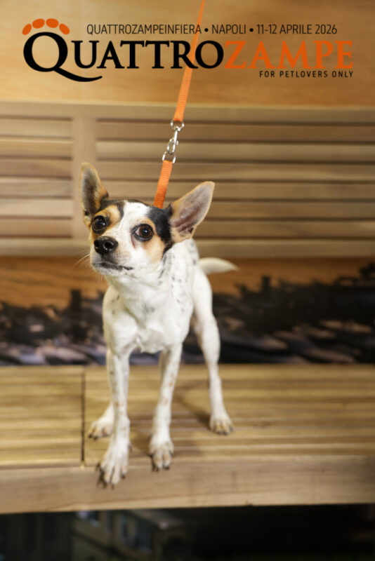 Concorso Fotografico - QuattroZampe in Fiera - Napoli - Aprile 2026