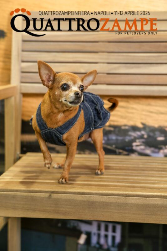 Concorso Fotografico - QuattroZampe in Fiera - Napoli - Aprile 2026