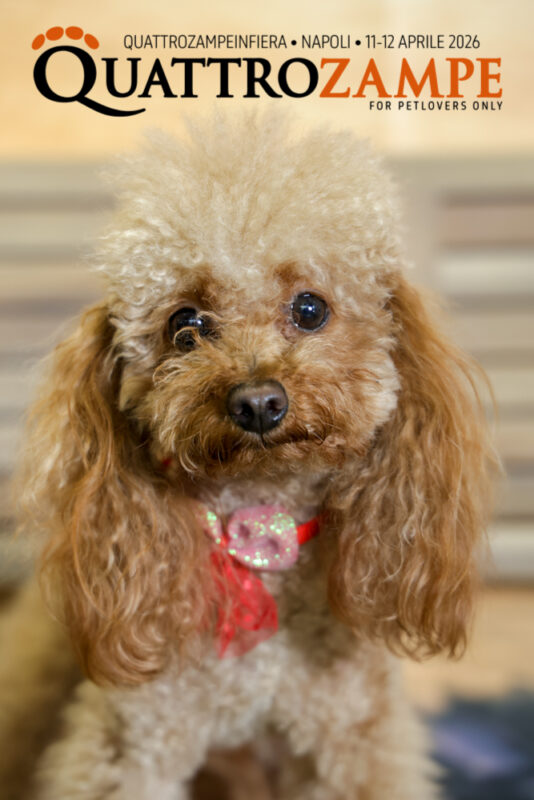 Concorso Fotografico - QuattroZampe in Fiera - Napoli - Aprile 2026
