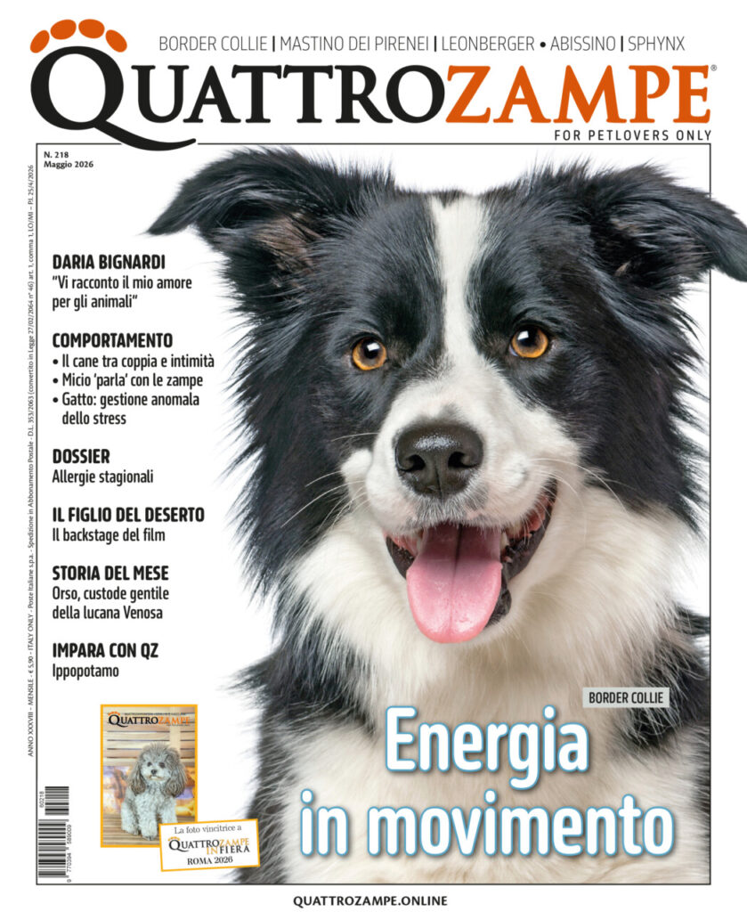 È in edicola il numero di maggio 2026 di Quattrozampe