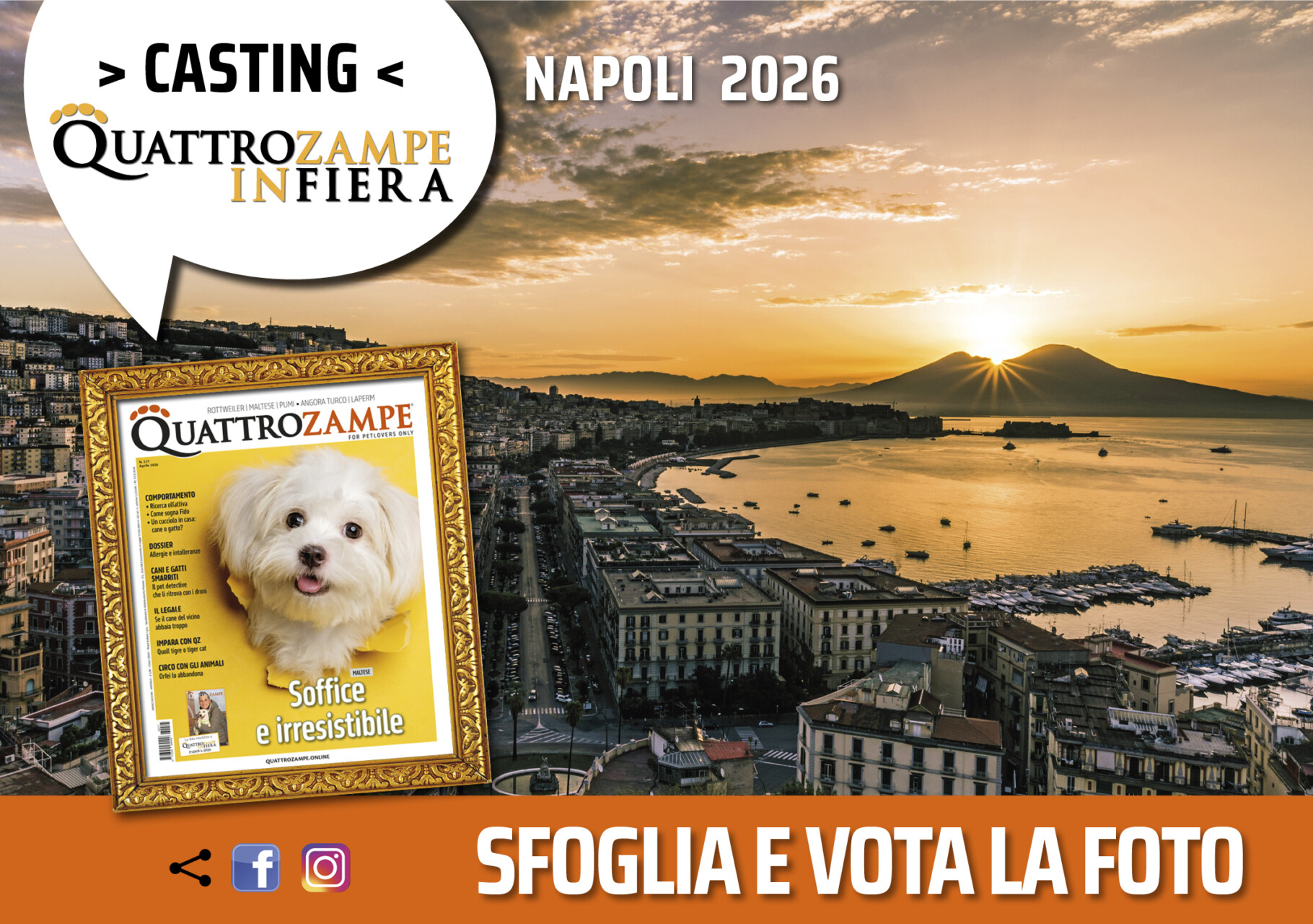 Concorso Fotografico - QuattroZampe in Fiera - Napoli - Aprile 2026