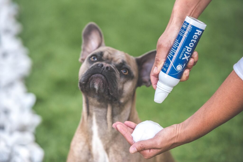 Un cane trattato con uno dei prodotti della linea Retopix® che aiuta in caso di problematiche della pelle sviluppate da allergeni