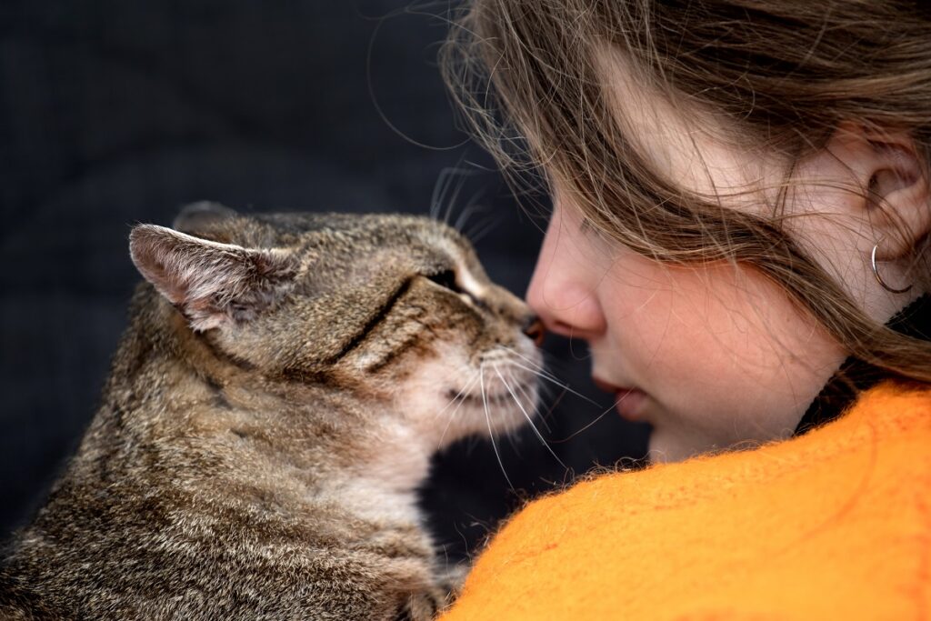 Pet Day 2026: tante iniziative per i nostri animali domestici