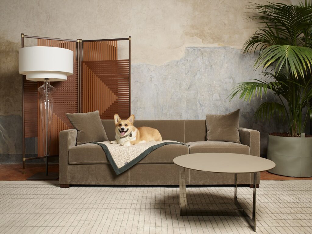 Un cane disteso su una coperta adagiata sul divano: al Pet Design District a Milano l'azienda Poltrona Frau presenta le sue novità