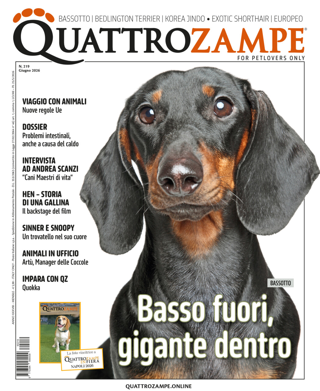 quattro zampe