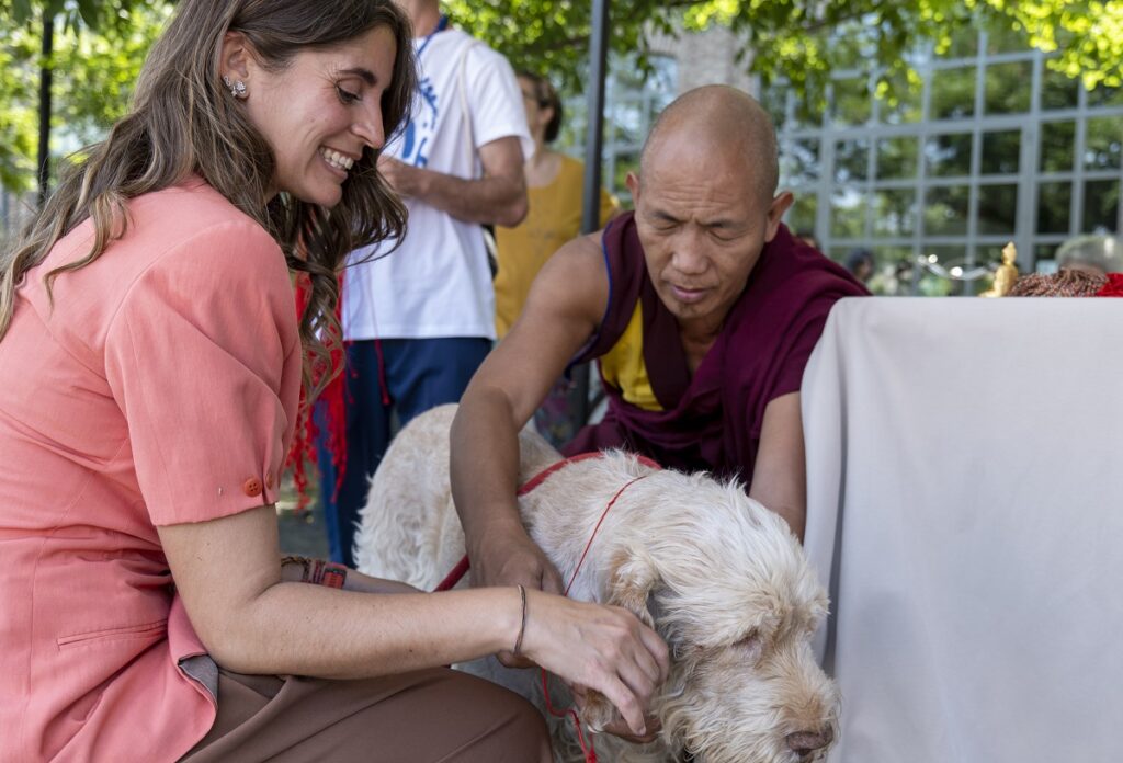 Benedizione degli animali al Vesak, la più importante festività buddhista dell'anno: questo gesto significa per i buddhisti ripagare la loro gentilezza